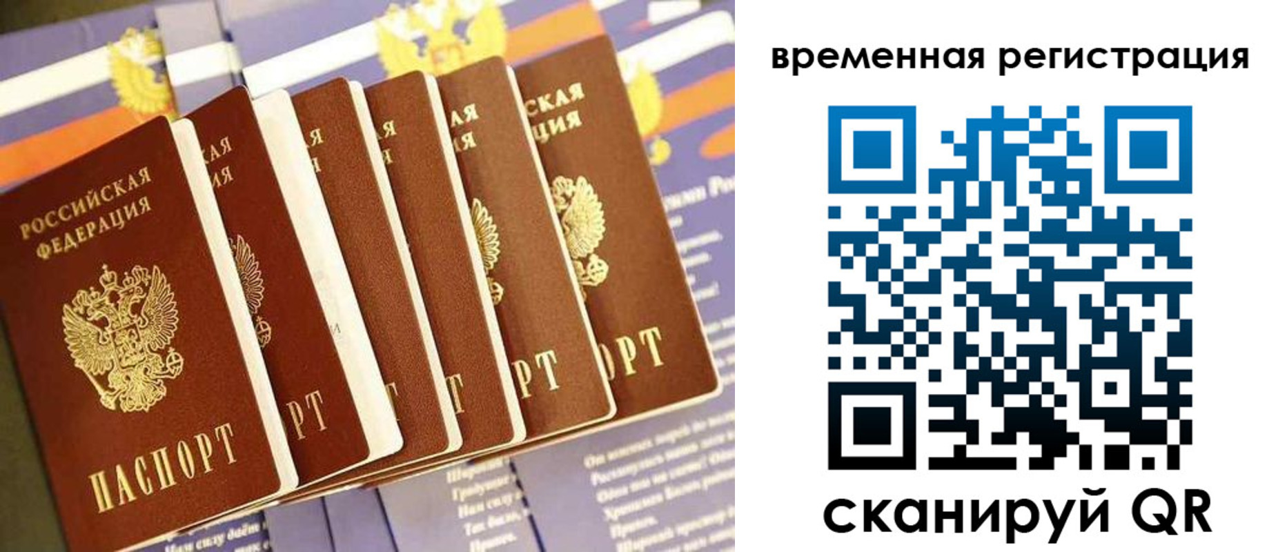 временная регистрация поиск в Курганской области